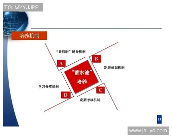 篮球青训梯队建设探索与实践提升青少年篮球水平的有效路径与策略