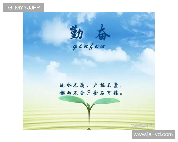 刘洋的成长之路：从普通学生到职场精英的奋斗故事与人生启示